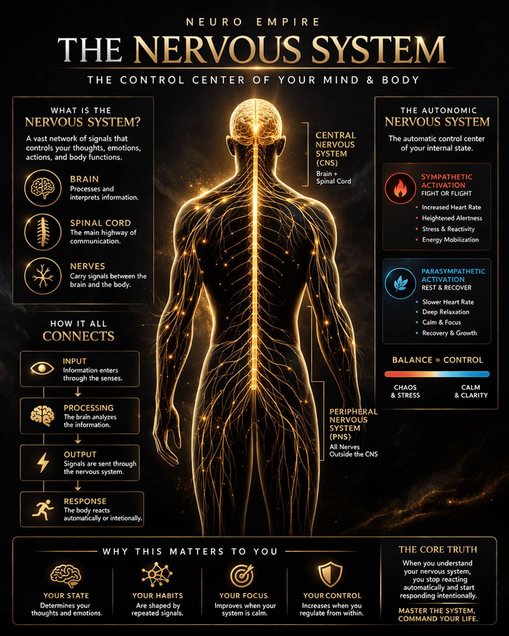 NEURO EMPIRE: The neuro rewire system - THE LUXE WARD